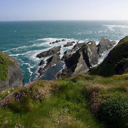Galley Head Lightkeeper'S Houses Donoure Luaran gambar