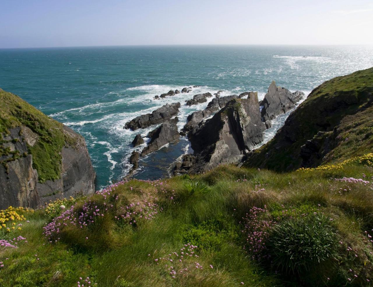 Galley Head Lightkeeper'S Houses Donoure Luaran gambar